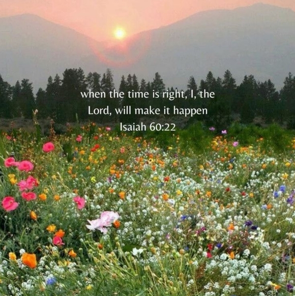 💌 - Picture 3 of 8